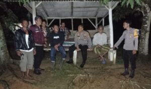 IMG-20221123-WA0052